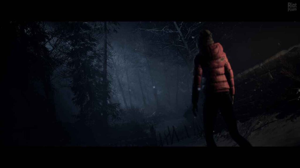 Until Dawn