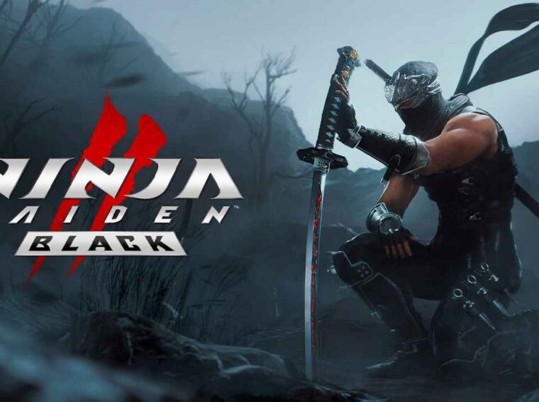 NINJA GAIDEN 2 Black